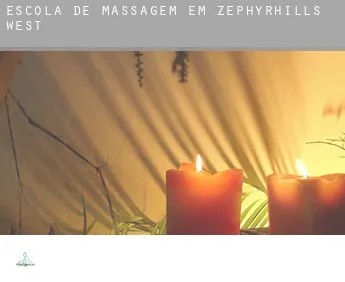 Escola de massagem em  Zephyrhills West