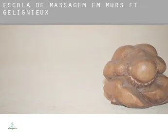 Escola de massagem em  Murs-et-Gélignieux