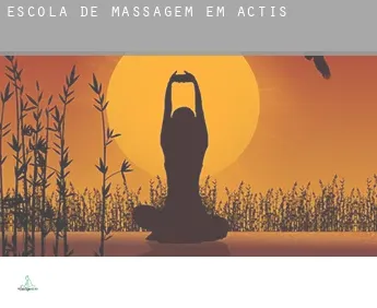 Escola de massagem em  Actis