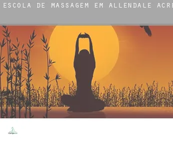 Escola de massagem em  Allendale Acres