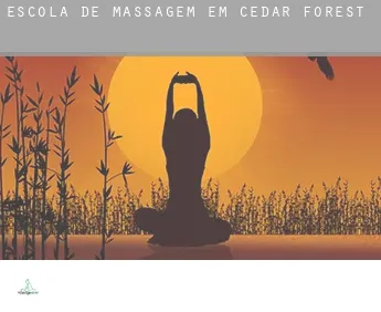 Escola de massagem em  Cedar Forest