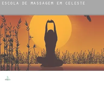 Escola de massagem em  Celeste
