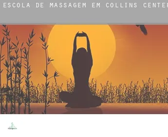 Escola de massagem em  Collins Center