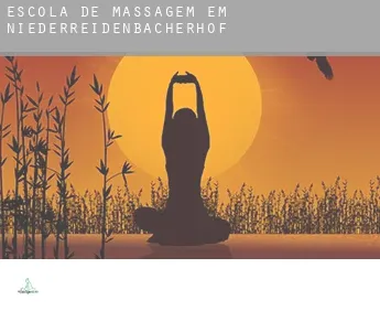 Escola de massagem em  Niederreidenbacherhof