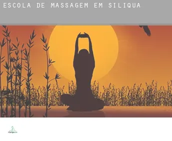 Escola de massagem em  Siliqua