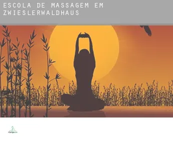 Escola de massagem em  Zwieslerwaldhaus