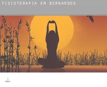 Fisioterapia em  Bernardos