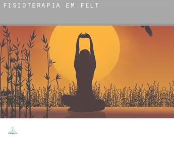 Fisioterapia em  Felt