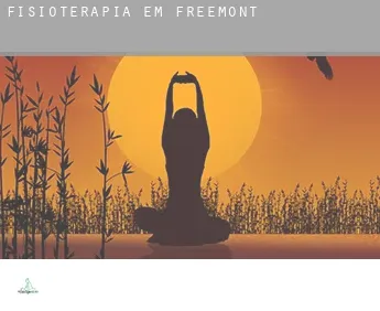 Fisioterapia em  Freemont