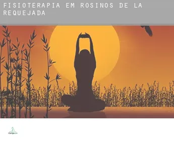Fisioterapia em  Rosinos de la Requejada