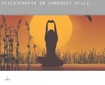 Fisioterapia em  Somerset Hills