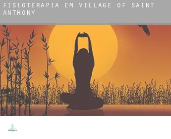 Fisioterapia em  Village of Saint Anthony