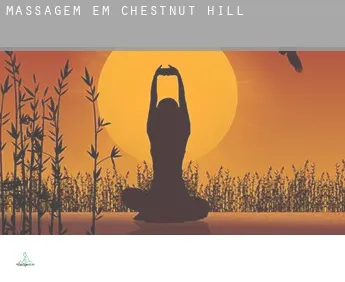 Massagem em  Chestnut Hill