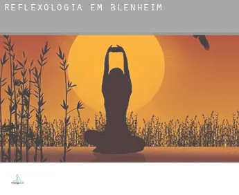 Reflexologia em  Blenheim