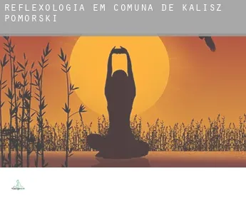 Reflexologia em  Comuna de Kalisz Pomorski