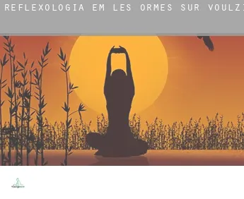 Reflexologia em  Les Ormes-sur-Voulzie