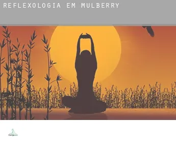Reflexologia em  Mulberry