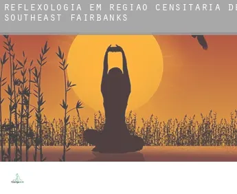 Reflexologia em  Região Censitária de Southeast Fairbanks