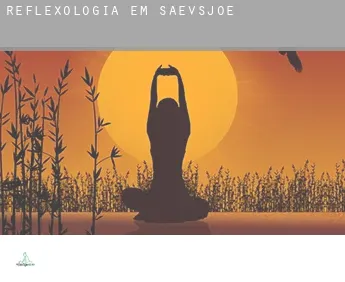 Reflexologia em Sävsjö