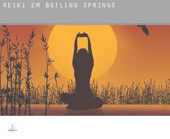 Reiki em  Boiling Springs