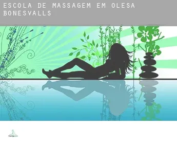 Escola de massagem em  Olesa de Bonesvalls