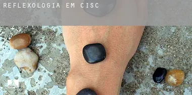 Reflexologia em Cisco