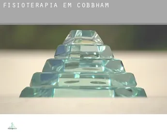 Fisioterapia em  Cobbham