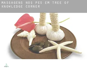 Massagens nos pés em Tree of Knowledge Corner