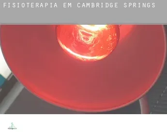 Fisioterapia em  Cambridge Springs