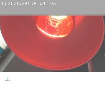 Fisioterapia em  Hay