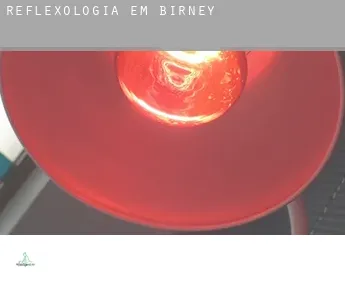 Reflexologia em  Birney