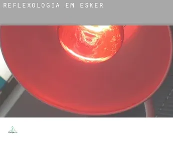 Reflexologia em  Esker