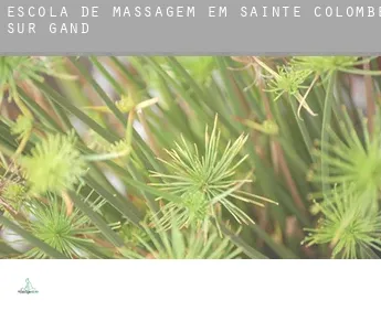 Escola de massagem em  Sainte-Colombe-sur-Gand