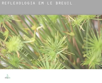 Reflexologia em  Le Breuil