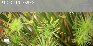 Reiki em Waukon