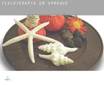 Fisioterapia em  Sprague