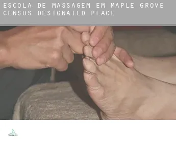 Escola de massagem em  Maple Grove