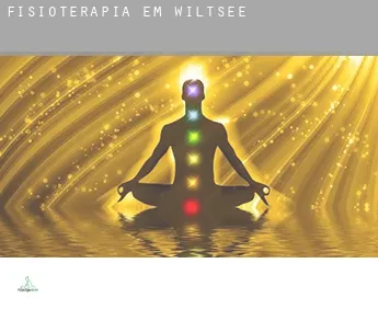Fisioterapia em  Wiltsee