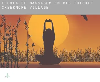 Escola de massagem em  Big Thicket Creekmore Village