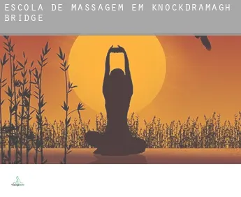 Escola de massagem em  Knockdramagh Bridge