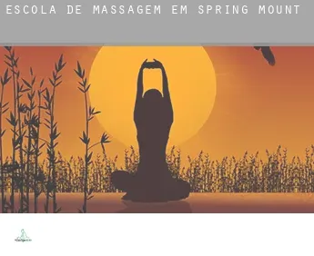 Escola de massagem em  Spring Mount