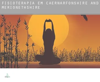Fisioterapia em  Caernarfonshire and Merionethshire