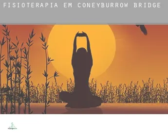 Fisioterapia em  Coneyburrow Bridge