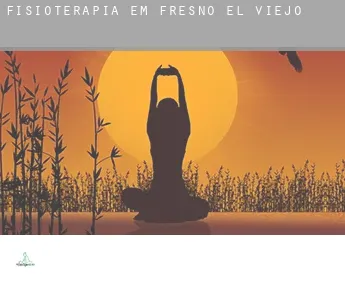 Fisioterapia em  Fresno El Viejo