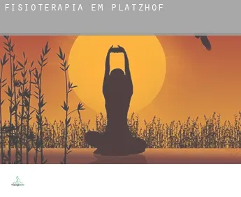 Fisioterapia em  Platzhof