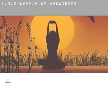 Fisioterapia em  Walesboro