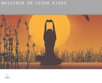 Massagem em  Cedar Ridge