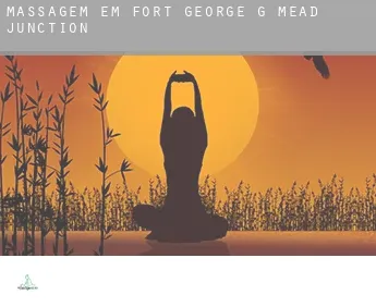 Massagem em Fort George G Mead Junction