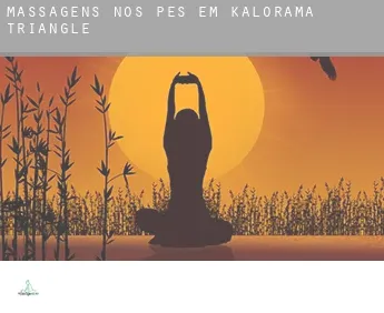 Massagens nos pés em  Kalorama Triangle