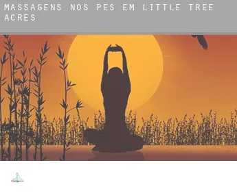 Massagens nos pés em  Little Tree Acres